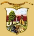 Wappen des Heimatvereins Wüstenhain
